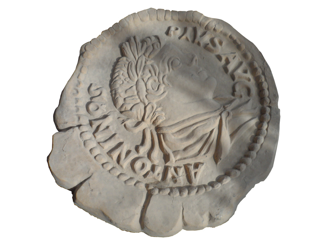 Roman Coin - 570x520x38mm - NewMould